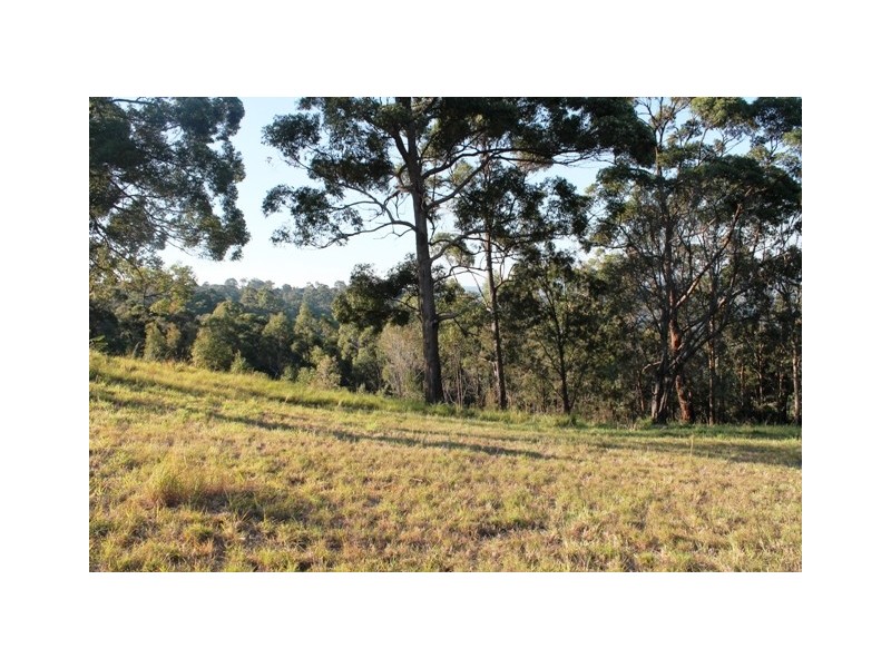 7B Celebes Court, Tamborine Mountain QLD 4272