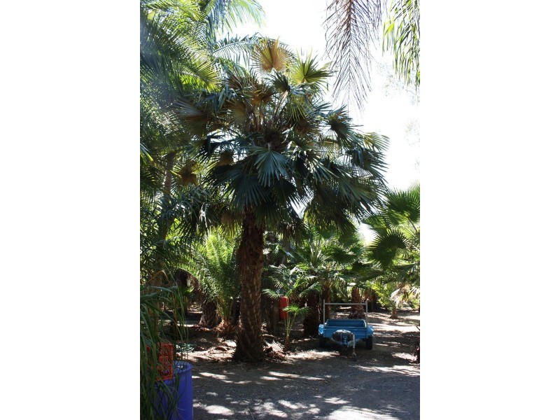 74 Hazel Road, Tamborine QLD 4270