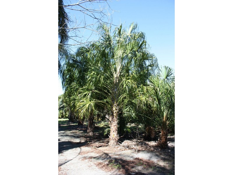 74 Hazel Road, Tamborine QLD 4270