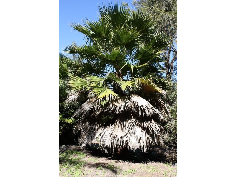 74 Hazel Road, Tamborine QLD 4270