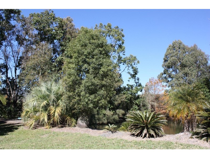 74 Hazel Road, Tamborine QLD 4270