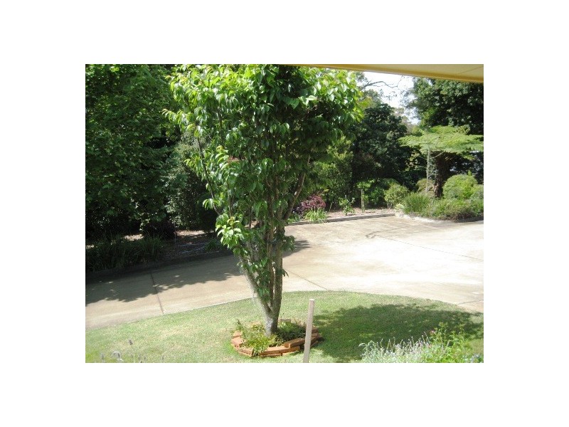 North Tamborine QLD 4272