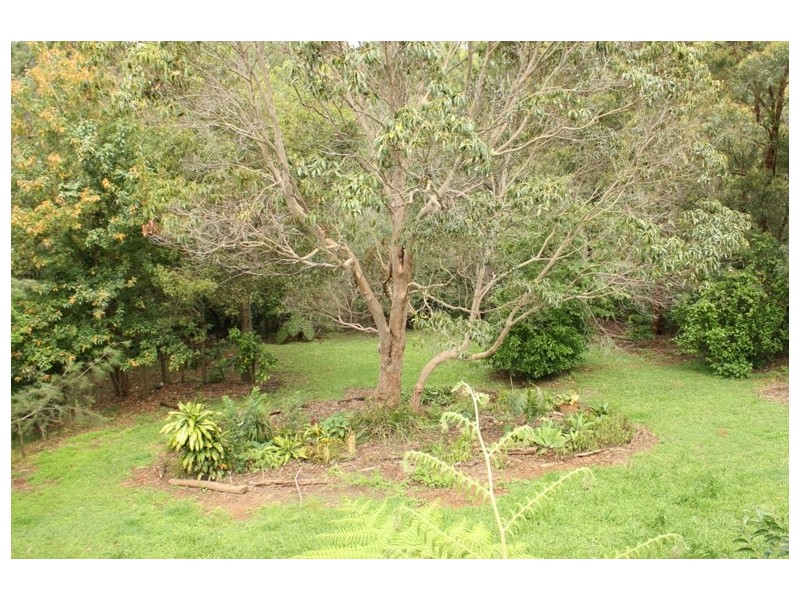 30 Tolima Dr, Tamborine Mountain QLD 4272