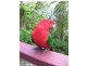 226 Beacon Road, Tamborine Mountain QLD 4272