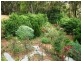 226 Beacon Road, Tamborine Mountain QLD 4272