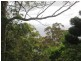 226 Beacon Road, Tamborine Mountain QLD 4272