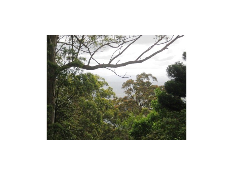 226 Beacon Road, Tamborine Mountain QLD 4272