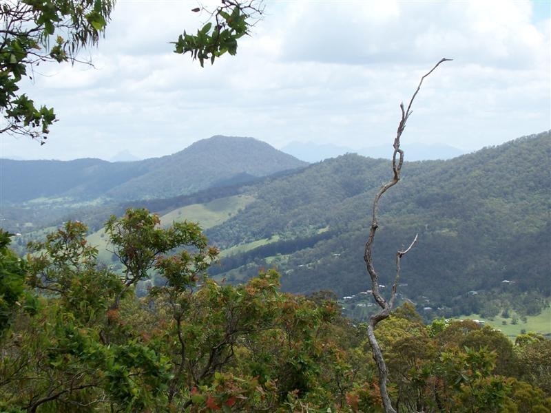 2090 Tamborine Mountain Rd, Tamborine Mountain QLD 4272