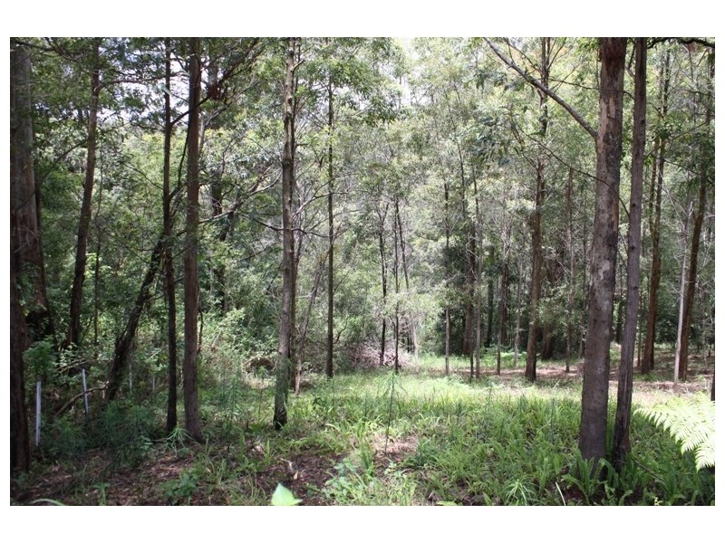 Tamborine Mountain QLD 4272