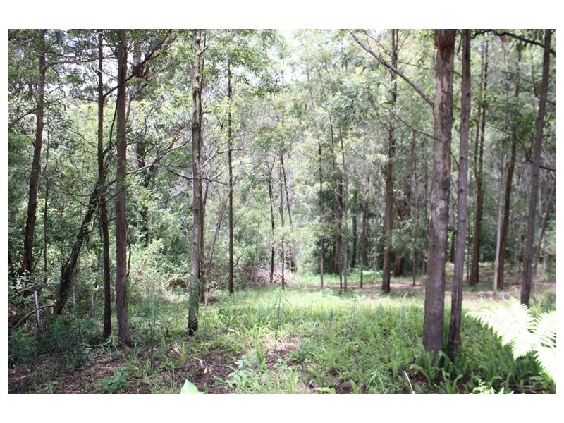 Tamborine Mountain QLD 4272