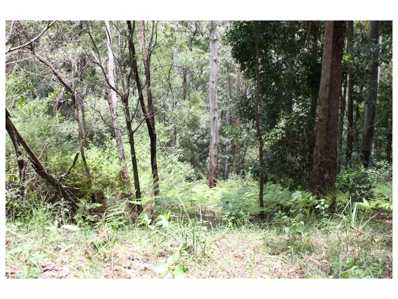 Tamborine Mountain QLD 4272