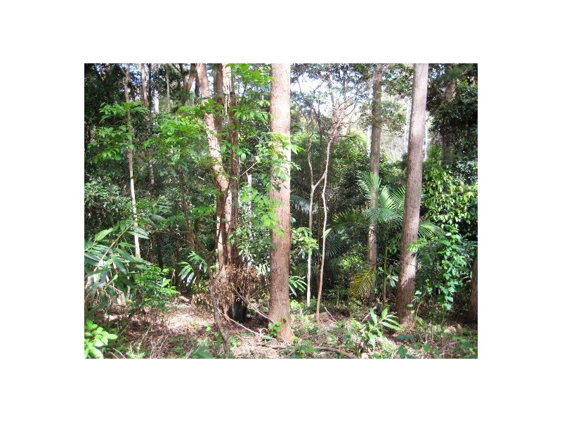 127 Wongawallan Road, Eagle Heights QLD 4271