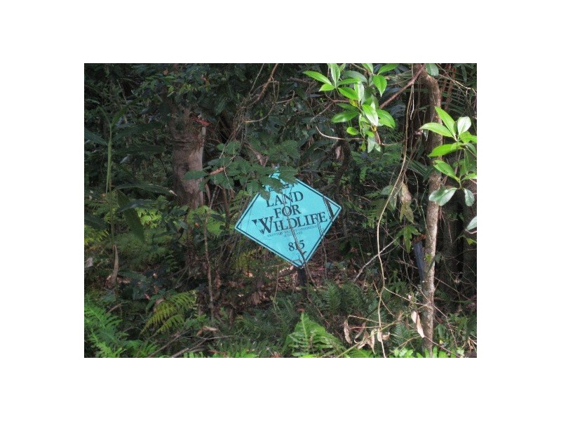 127 Wongawallan Road, Eagle Heights QLD 4271