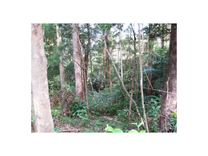 127 Wongawallan Road, Eagle Heights QLD 4271