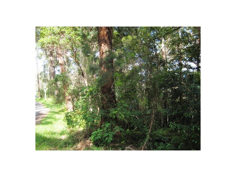 127 Wongawallan Road, Eagle Heights QLD 4271