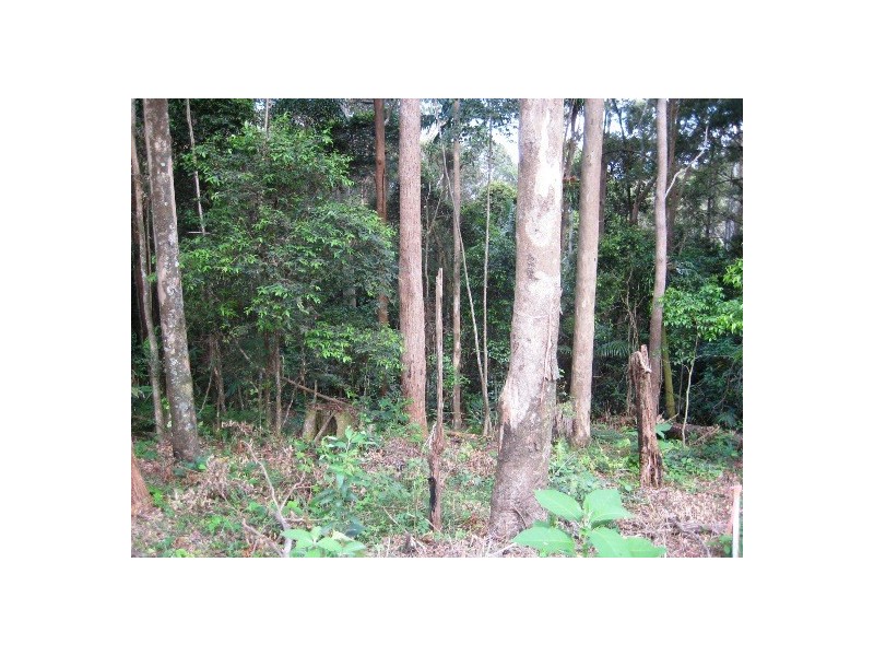 127 Wongawallan Road, Eagle Heights QLD 4271