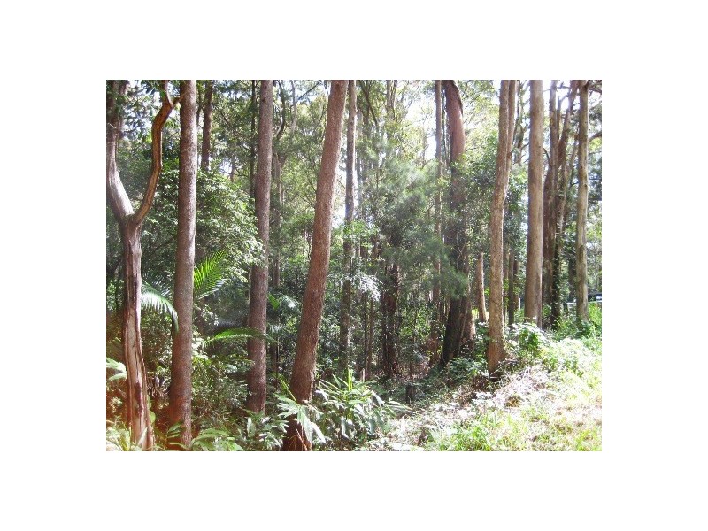 127 Wongawallan Road, Eagle Heights QLD 4271