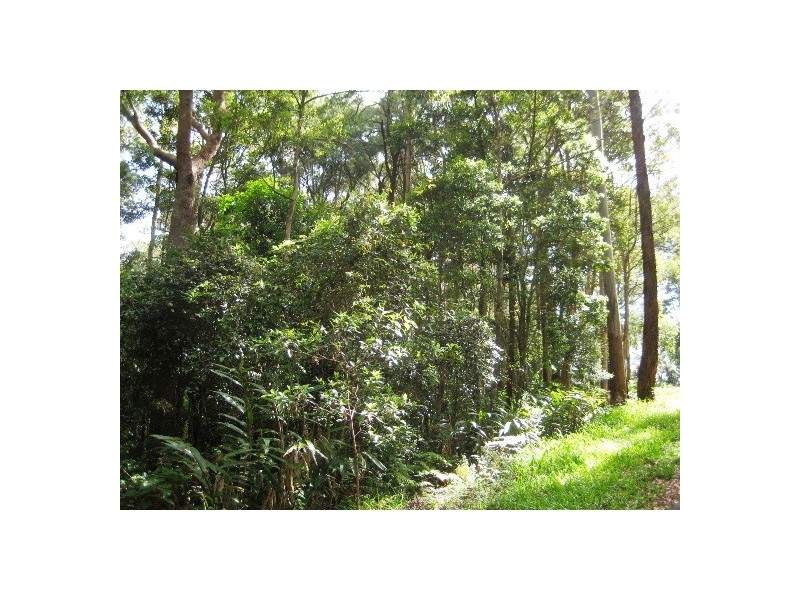 127 Wongawallan Road, Eagle Heights QLD 4271