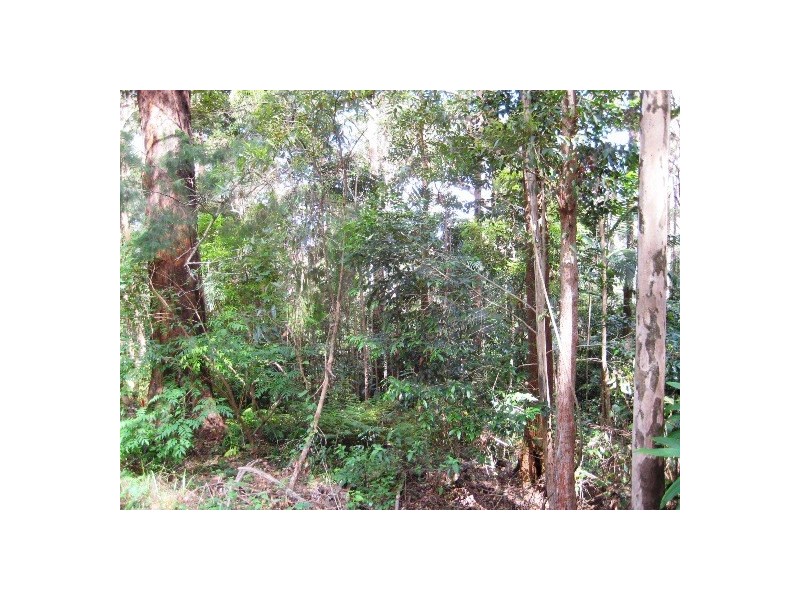 127 Wongawallan Road, Eagle Heights QLD 4271