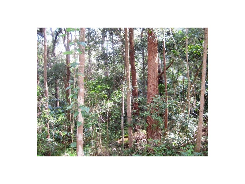 127 Wongawallan Road, Eagle Heights QLD 4271