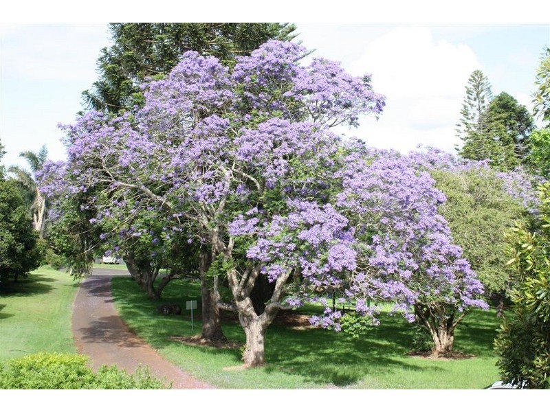 Eagle Heights QLD 4271