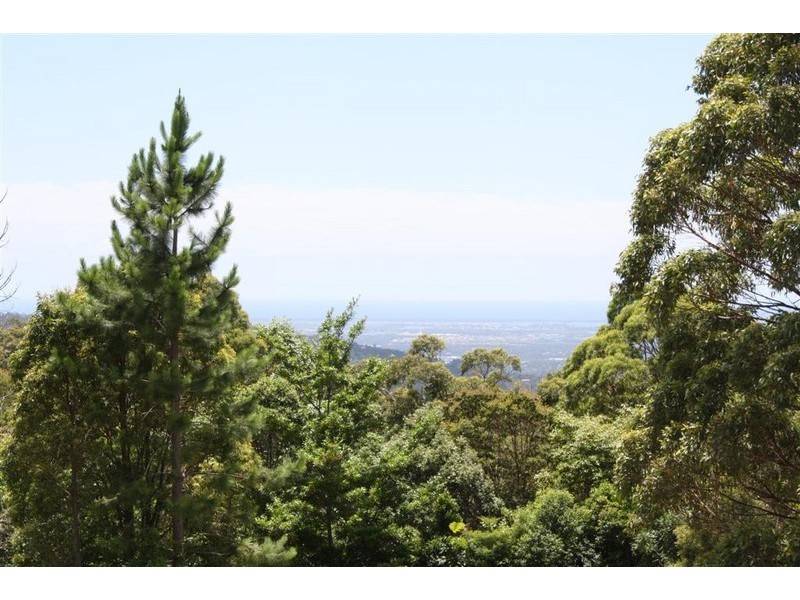 79 Magnetic Drive, Tamborine Mountain QLD 4272