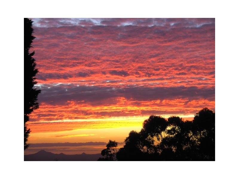 Tamborine Mountain QLD 4272