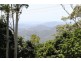 Tamborine Mountain QLD 4272