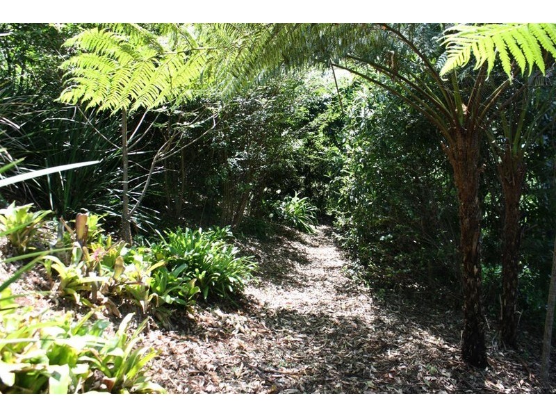 Tamborine Mountain QLD 4272
