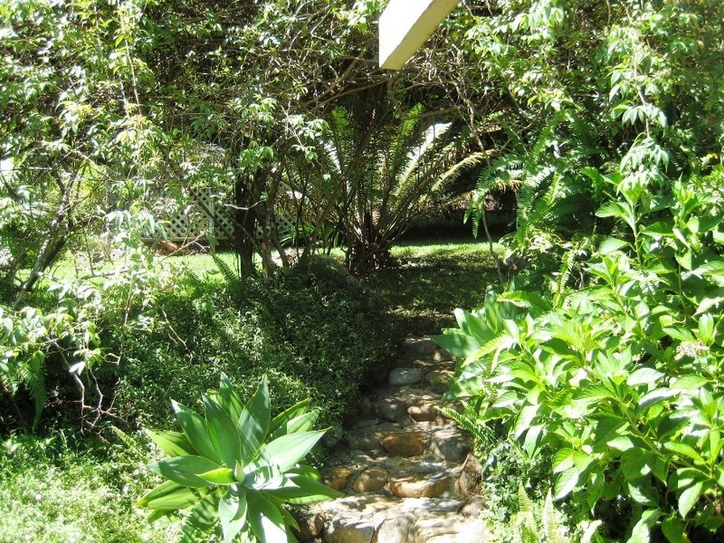 167 Beacon Rd, Tamborine Mountain QLD 4272