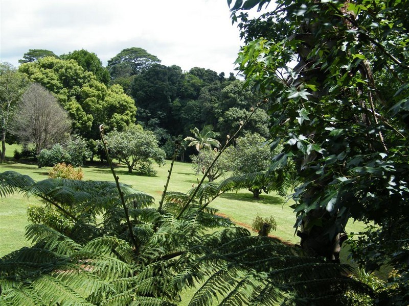 North Tamborine QLD 4272