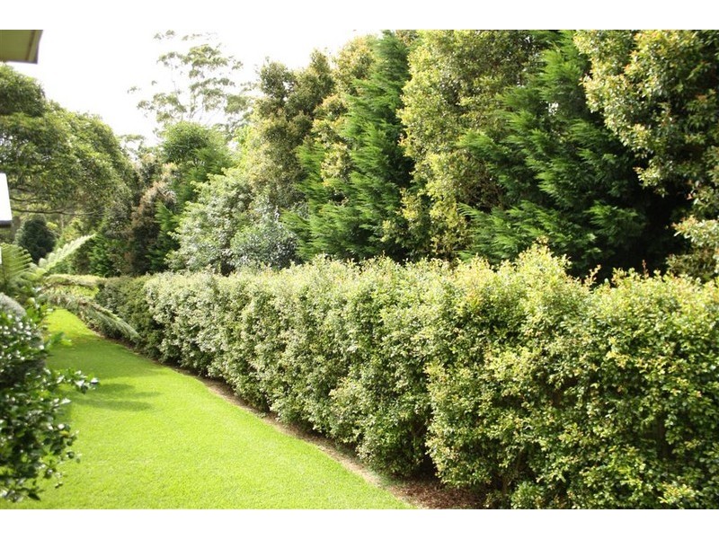 Lot 26 ‘Capo Di Monte’ – Capo Lane, North Tamborine QLD 4272
