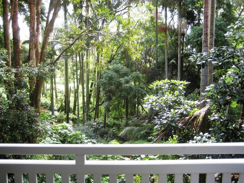 10 Morell, Tamborine Mountain QLD 4272