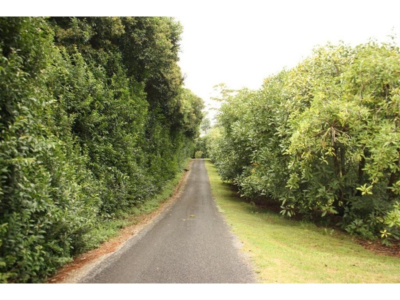 Tamborine Mountain QLD 4272