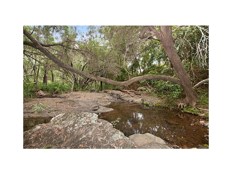 43 Pinnacle Dr, Wongawallan QLD 4210