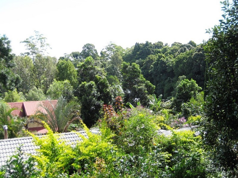 13 Mayon Ct, Tamborine Mountain QLD 4272