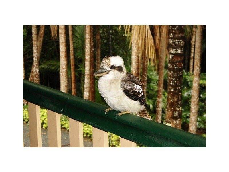 Eagle Heights QLD 4271