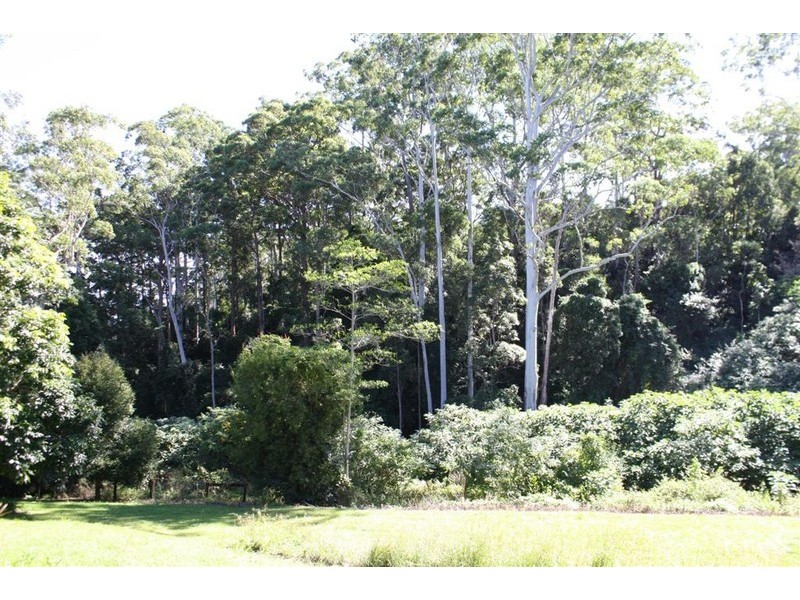 Tamborine Mountain QLD 4272