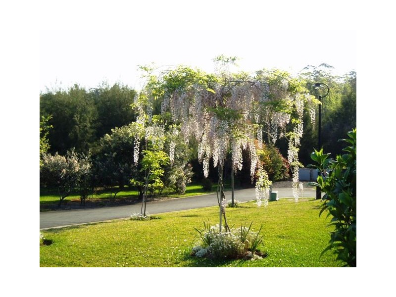 North Tamborine QLD 4272