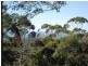 Tamborine Mountain QLD 4272