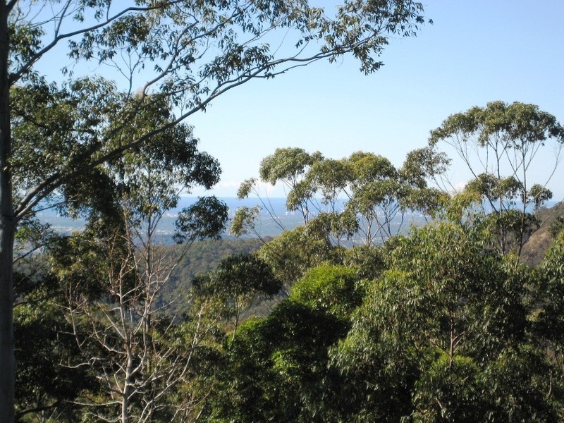 Tamborine Mountain QLD 4272