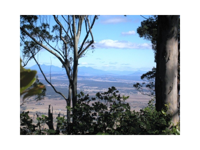 202 Beacon Road, North Tamborine QLD 4272