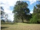 95 Bateke Rd, Tamborine Mountain QLD 4272