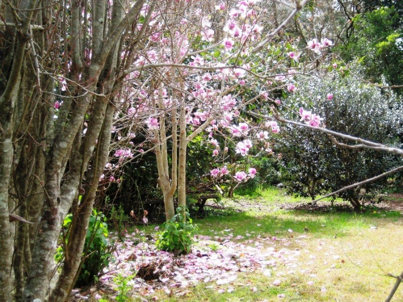 470 Main Western Road, Tamborine Mountain QLD 4272