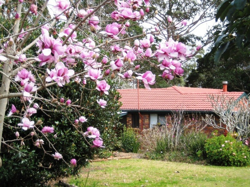 470 Main Western Road, Tamborine Mountain QLD 4272