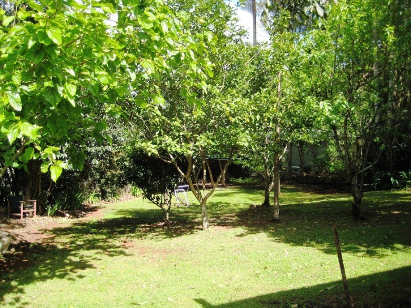 48 Knoll Road, North Tamborine QLD 4272