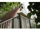 Eagle Heights QLD 4271