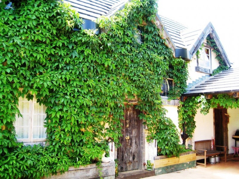 Eagle Heights QLD 4271