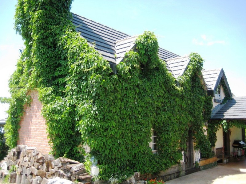 Eagle Heights QLD 4271