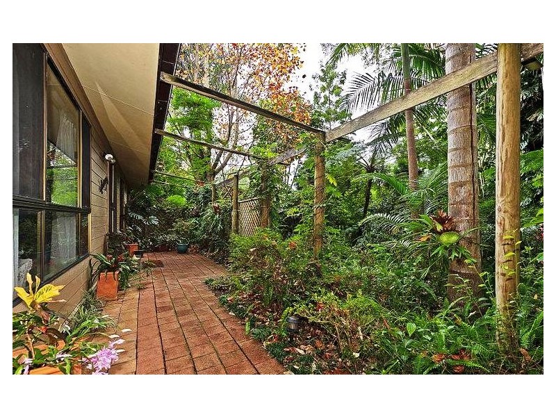 Tamborine Mountain QLD 4272